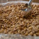 Antep Fıstığı (1 kg)